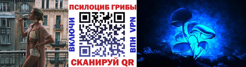 Галлюциногенные грибы прущие грибы  где можно купить наркотик  Нестеров 
